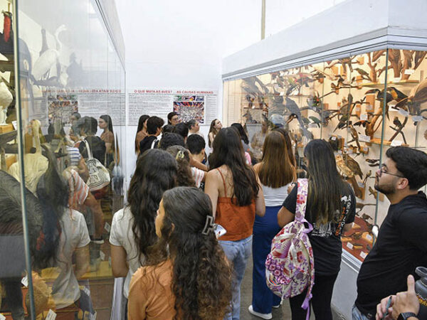 Memória Viva: alunos  da Unitau realizam projeto  para revitalização do Museu de História Natural