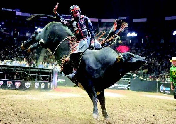 Vereadores aprovam retorno  de rodeios e provas equestres