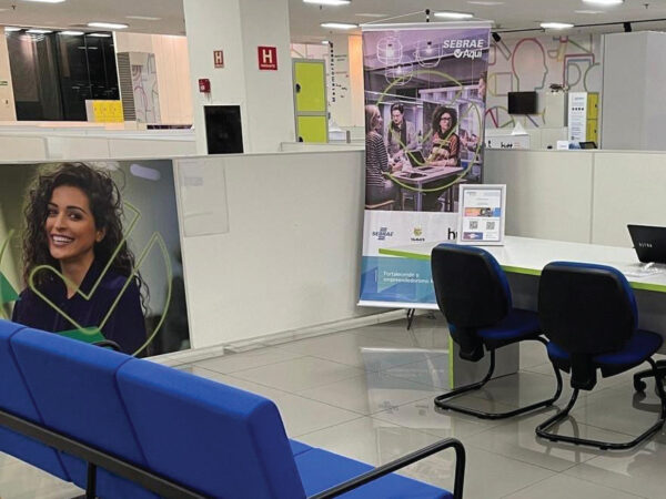 Gestão: Micro e pequenas empresas