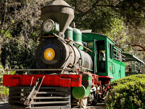 Maria Fumaça de Campos do Jordão ganha decoração de Natal